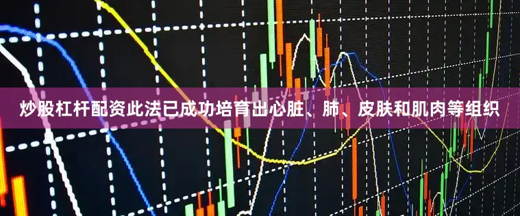 炒股杠杆配资此法已成功培育出心脏、肺、皮肤和肌肉等组织